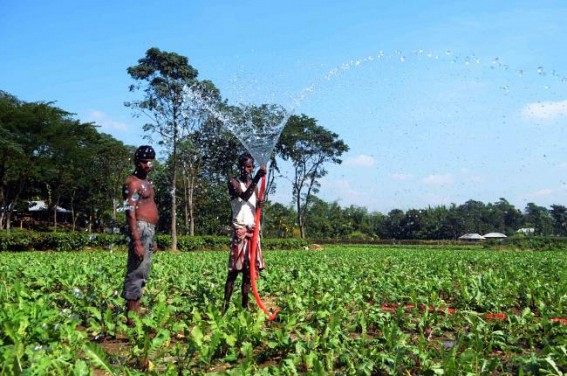 Tripura hikes wage rate for agricultural labourers  